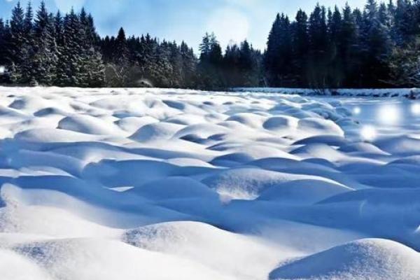 遥知不是雪，谁在粉妆玉砌间