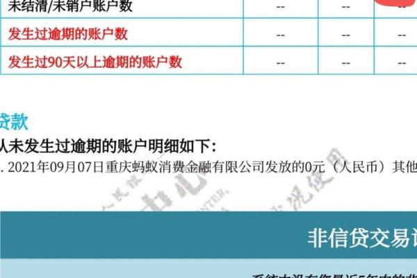 全面解析：贷款征信查询方法与