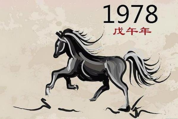 1978年出生的人命运解析与