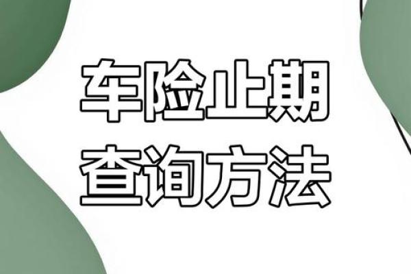 如何有效查找和比较车险信息的