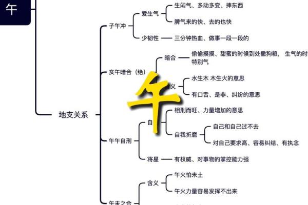 详细解析地支12个字的正确发