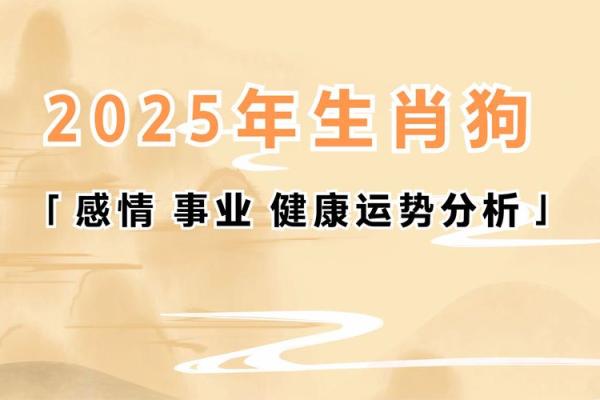 79岁属什么生肖？解密老年生